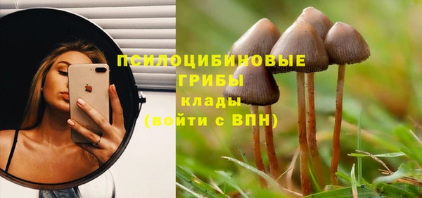 прущая мука Богородск