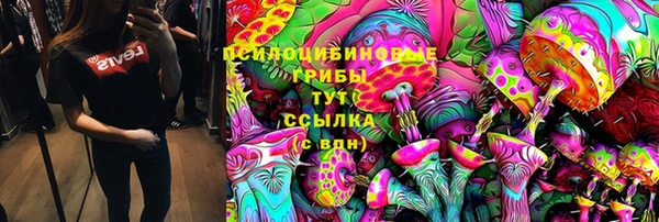 прущая мука Богородск